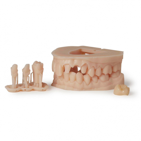Cartouche Résine SLA Formlabs Dental Model